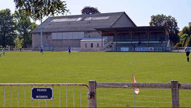 Les fongicides sont toxiques pour les cellules humaines