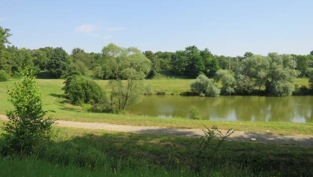 Directive-cadre sur l’eau : la France fait profil bas