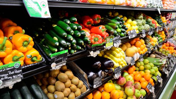 « Food for good », un concours mondial pour l'alimentation durable