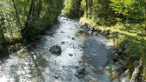 Une collaboration internationale pour mieux connaître la biodiversité des rivières intermittentes