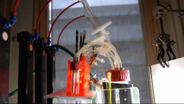 Des bactéries génétiquement modifiées pour produire des hydrocarbures