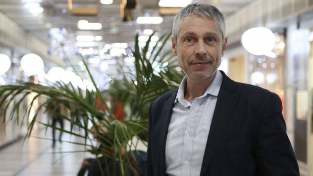 [Tribune] L’arbre, ou la forêt de la revitalisation urbaine