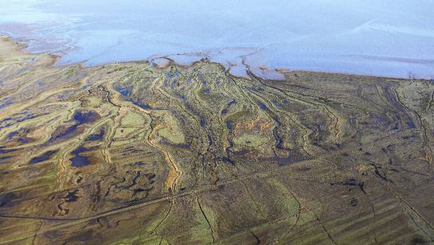 La nature peut réaliser 30% des baisses d’émissions de CO2 attendues d’ici 2030