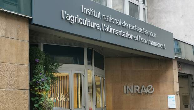 Recherche : l'Inrae naît de la fusion entre l'Inra et l'Irstea