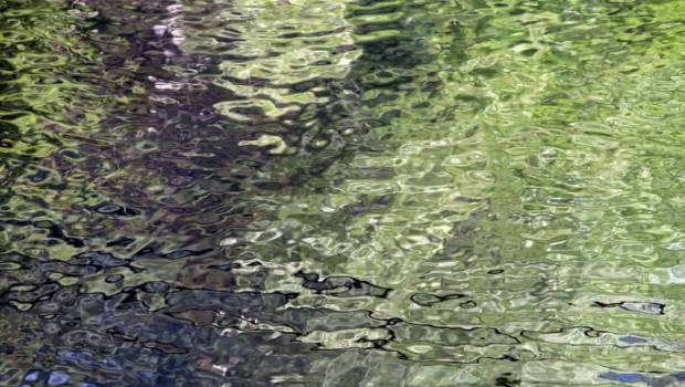 L'ADN environnemental à l'honneur le 23 janvier à Lyon