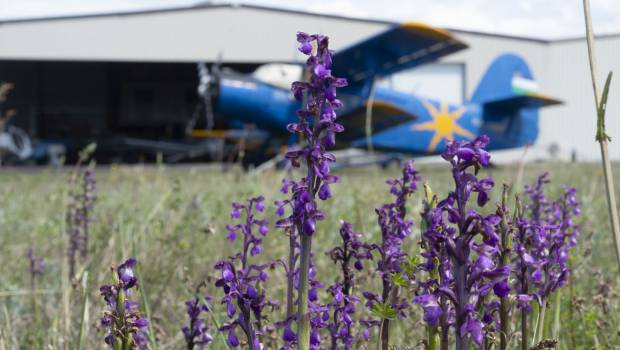 La Fédération française aéronautique s'engage pour la biodiversité
