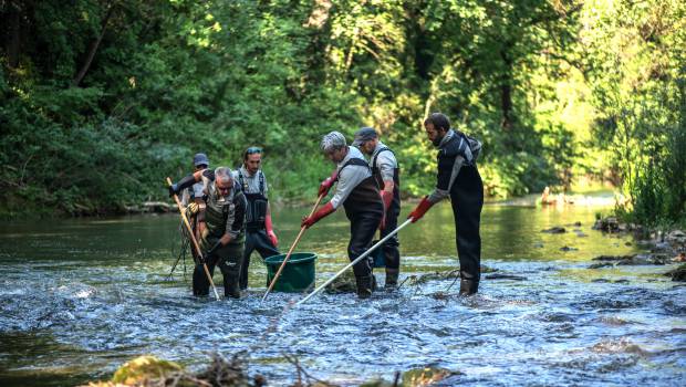 Office français de la biodiversité : l'eau reste à flot