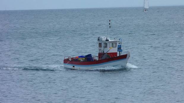 Ressources halieutiques françaises : 26% des volumes pêchés en 2019 sont touchés par la surpêche