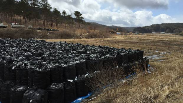Les leçons de la décontamination de Fukushima