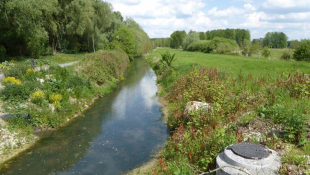 Zones humides : le sobre anniversaire de la Convention Ramsar