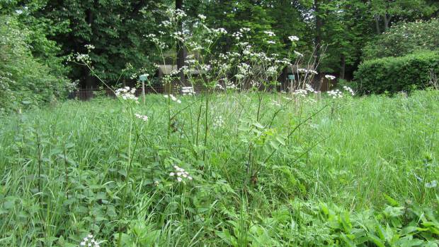 L’Ile de France part à la reconquête de ses territoires en friches