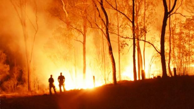 2019 est la seconde année la plus chaude jamais enregistrée