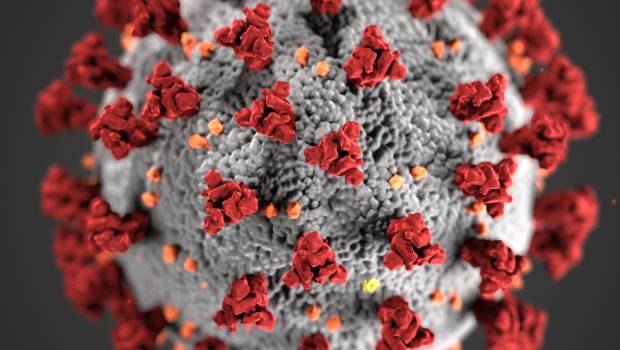 Coronavirus : des chercheurs anglais développent une application pour tracer les contacts