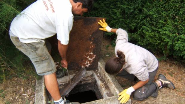 Covid-19 : la filière du traitement des eaux usées face au virus