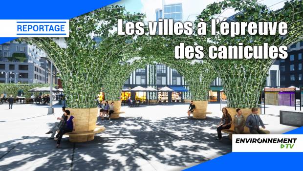[Vidéo] Les villes luttent contre les îlots de chaleur urbains