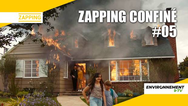 [Vidéo] L'après-coronavirus sera-t-il écologique ?