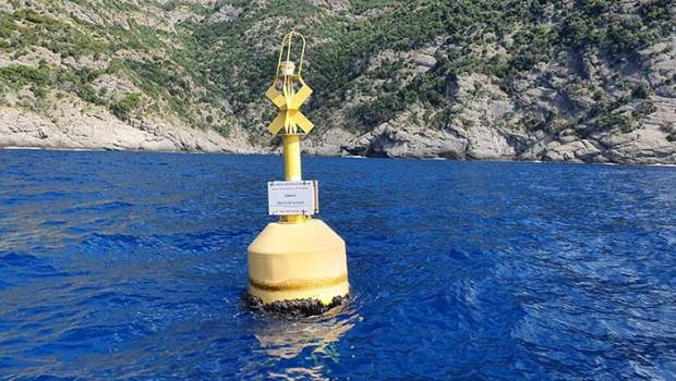 95% des aires marines protégées ne le sont pas assez