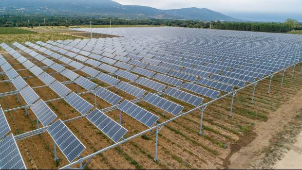 Des panneaux solaires au service des cultures agricoles