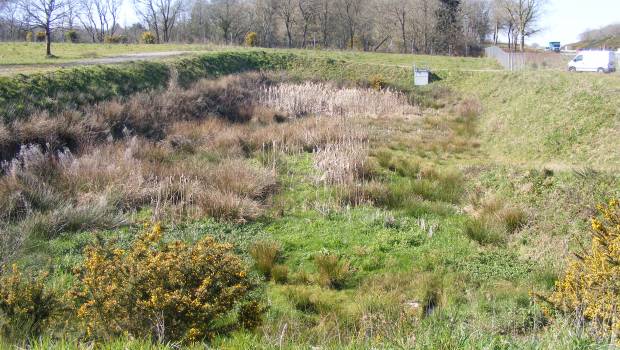 [Dossier] Eaux pluviales : Matriochkas se penche sur les noues