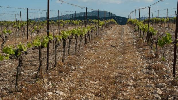 Gestion raisonnée de l’eau en irrigation agricole