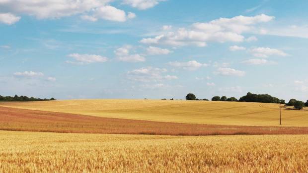 Agriculture : un nouveau label pour favoriser l’innovation