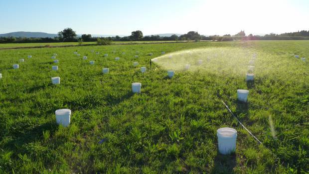 Le Parlement européen adopte le règlement sur la réutilisation des eaux usées traitées