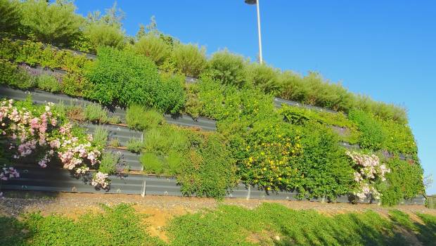 Un mur antibruit végétalisable et antipollution