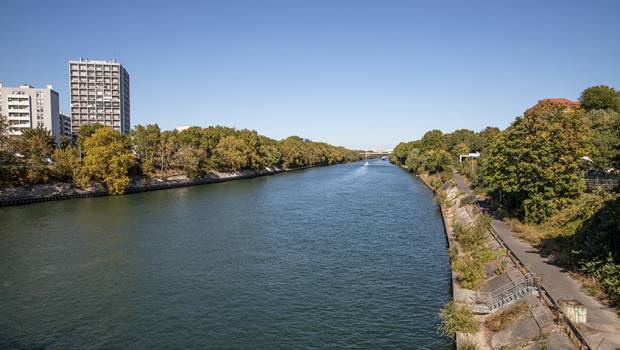 La Seine-Saint-Denis va planter 30.000 arbres d'ici 2030