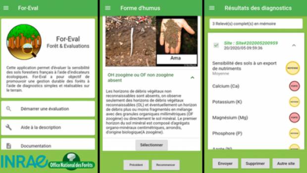 Une application pour aider les forestiers à déterminer la sensibilité des forêts