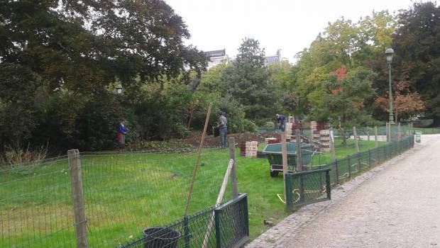 Le gouvernement veut étendre les usages interdits de pesticides en 2022