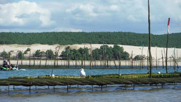 Le BRGM et l'Ifremer renouvellent leur coopération pour la connaissance du littoral