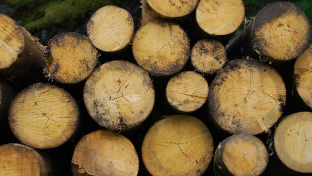 Biomasse : l'EUBCE se félicite de son édition entièrement virtuelle