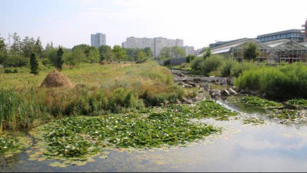 Un appel à projets pour accompagner la préservation de la biodiversité