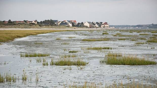 La baie de Somme devient le 55ème Parc naturel régional