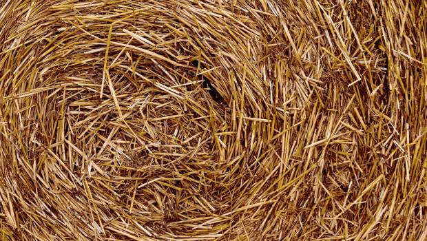 Isolation par la paille dans un immeuble parisien