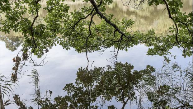L’ONF et l’agence de l’eau Loire-Bretagne renouvellent leur partenariat