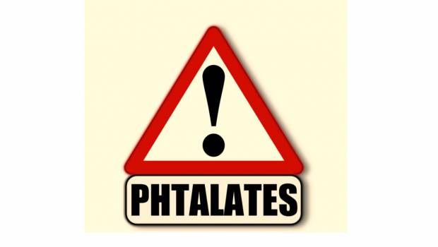 Des chercheurs font le lien entre exposition aux phtalates et démence