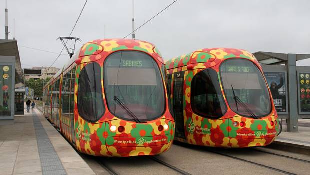 Gratuité des transports en commun pour les habitants de la Métropole de Montpellier