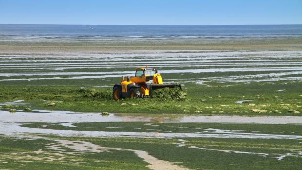 Nitrates : lancement d'une concertation préalable à la révision du programme national d'actions