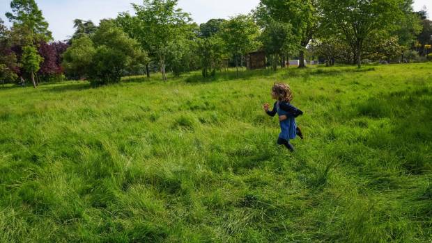 [Dossier] La biodiversité part à la conquête des espaces verts