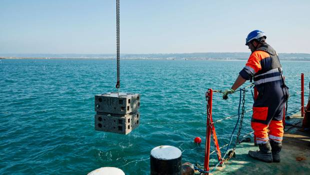 Le port de Cherbourg accueille des infrastructures maritimes biomimétiques