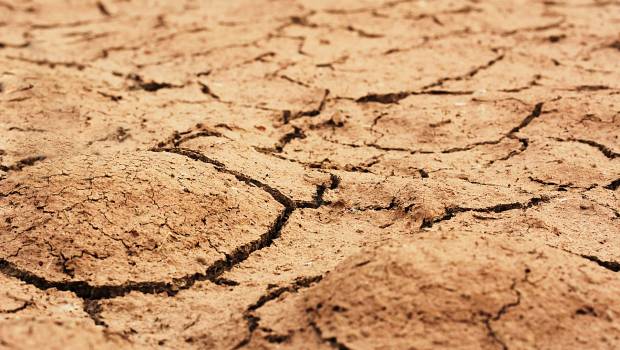 La sécheresse réduit l'absorption du carbone et le rendement des cultures