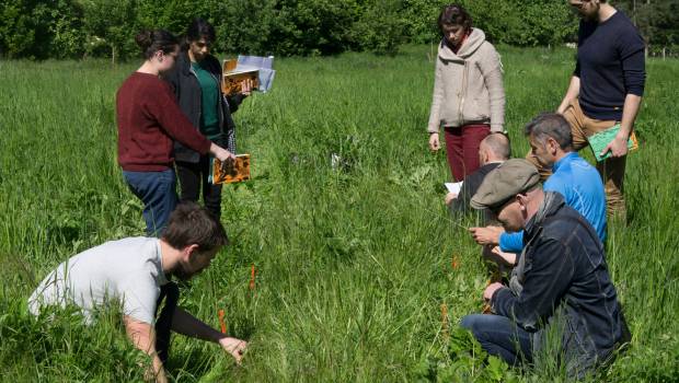 [Dossier] Vigie-Nature, les collectivités s’impliquent dans les sciences participatives