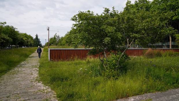 [Dossier] Rennes à l’avant-garde de la gestion écologique