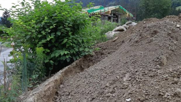 Plantes invasives : un guide pour éviter le risque de dissémination sur les chantiers