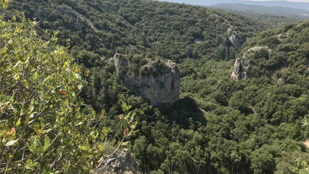 Région Sud : lancement de l'édition 2020 des « Territoires engagés pour la nature »