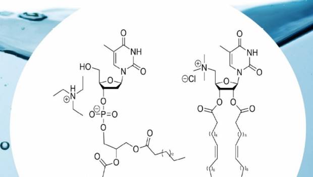 Des biomatériaux pour traiter des micropolluants dans les eaux usées