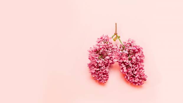 Le gouvernement lance son 4e Plan national santé environnement