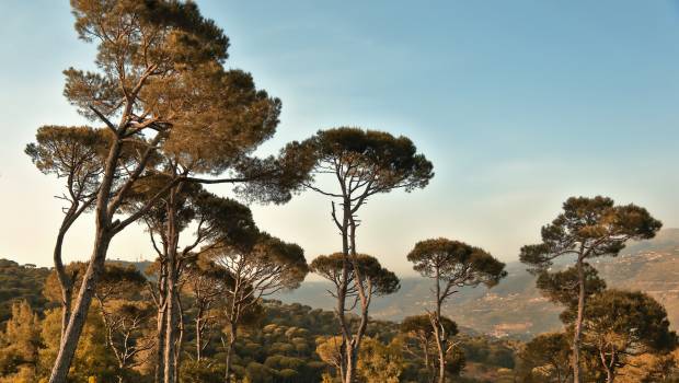 Le programme Mistrals sur l’environnement en Méditerranée arrive à son terme