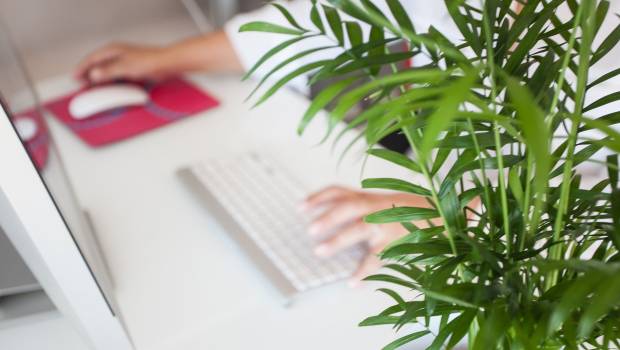 [Étude] Près de la moitié des télétravailleurs sont enclins à lancer des travaux de rénovation